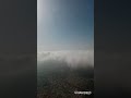 Short Clip