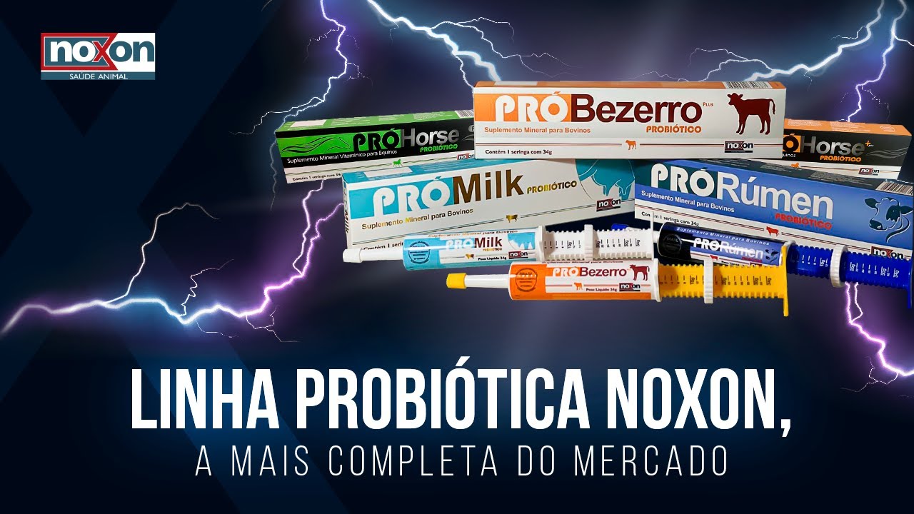 Probiótico para Bovinos e Equinos
