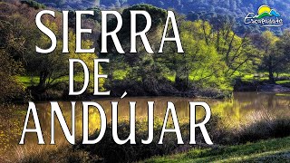 Sierra de Andújar, el mayor santuario de vida salvaje de España