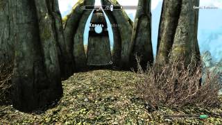 Skyrim #106 - Этериевая корона