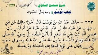 223 - شرح صحيح البخاري كِتَابٌ الْوُضُوءُ | بَابُ بَوْلِ الصِّبْيَان - رقم الحديث 223 || د.ماهرالفحل image