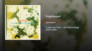 Snapdragon