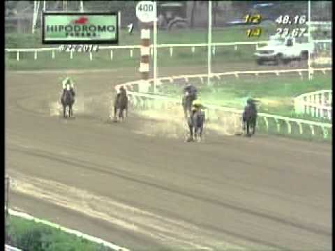 1RA CARRERA DEL DOMINGO 22 DE JUNIO DEL 2014 H P R