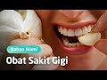 4 OBAT SAKIT GIGI ALAMI YANG PALING AMPUH (1 JAM LANGSUNG SEMBUH) 4 OBAT SAKIT GIGI ALAMI YANG PALING AMPUH (1 JAM LANGSUNG SEMBUH)