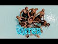 RUDI SMIT & UNTIMITIVE DANCE COMPANY | TYLA - WATER