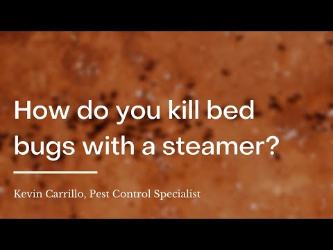YouTube video about: Can a clothes steamer kill bed bugs?