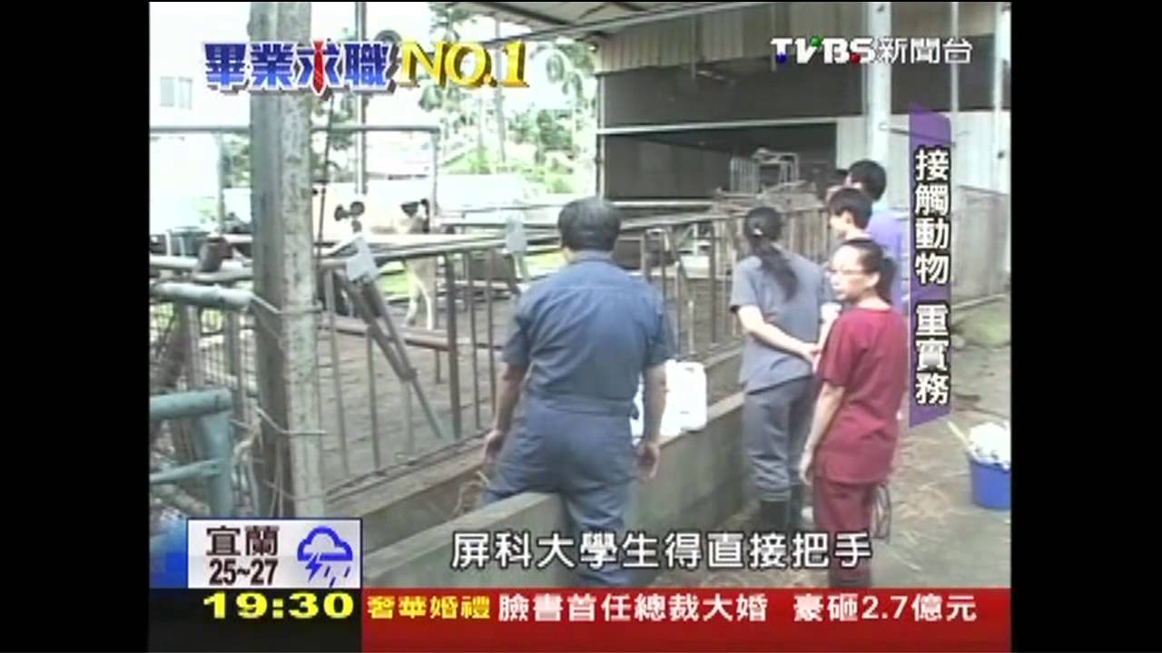 【畢業求職NO.1】重實務！全台獸醫　6成畢業屏科大
