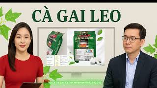 Cà Gai Leo – Vị Thuốc Quý Cho Gan: Chuyên Gia Nói Gì?