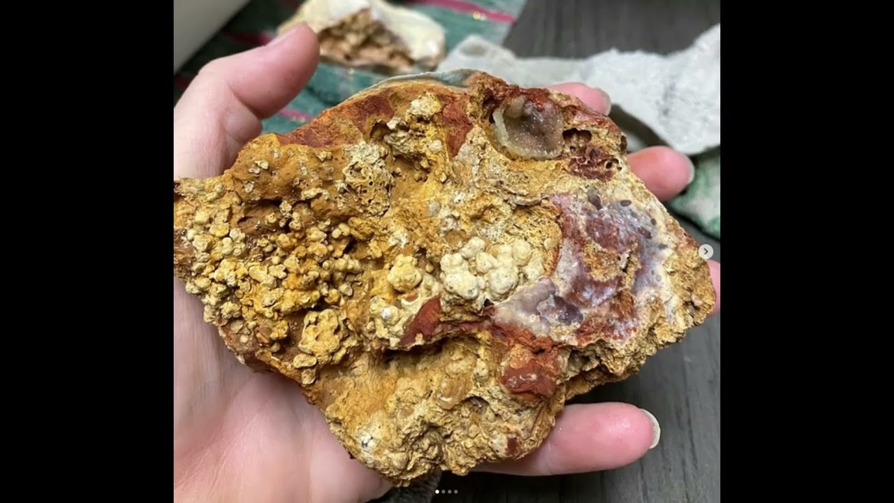 Savannah River Agate