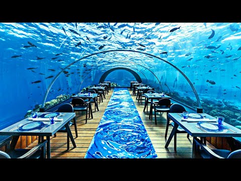 The Most Expensive Restaurant In The World