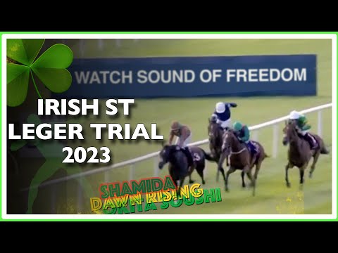 2023 Irish St Leger Trial | Shamida (IRE), Dawn Rising (IRE), Point King (IRE)