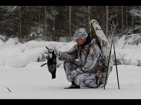 Latvalinnun metsästyksen aloitus 2023