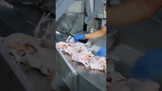 Download lagu Part 1-3 ada di Tiktok Ayam Bismi. Kredit video Tuan Khairul Hakimin Mohamad mp3 Download lagu Part 1-3 ada di Tiktok Ayam Bismi. Kredit video Tuan Khairul Hakimin Mohamad mp3