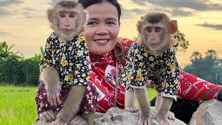 Smart DuDu and BiBi babies monkey with good mom at special place