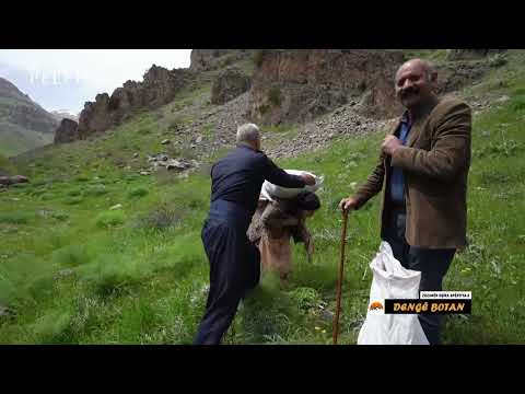 THE SOUND OF THE BOATS - THE ZOZANES OF THE SPERTIYA TRIBE / 2