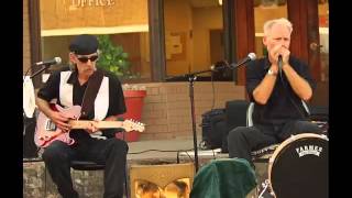 Blues Doctors   You Don't Have to Go live! at NMHCP