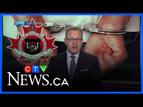 Four arrested in North Bay after licence plate reader hit finds guns, drugs