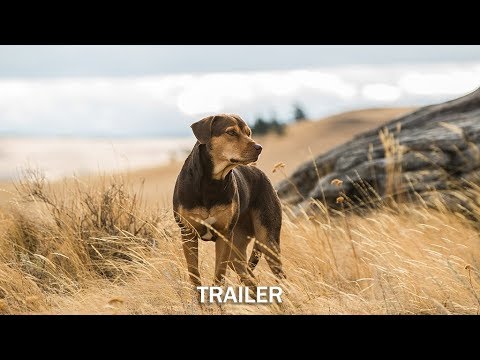 Trailer-Vorschau: Die unglaublichen Abenteuer von Bella