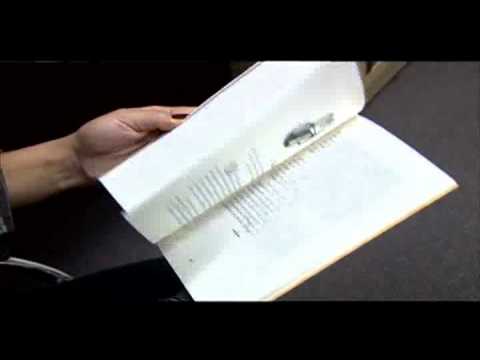 video thumnail