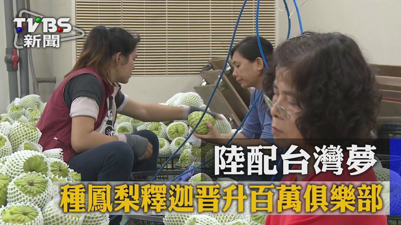 陸配台灣夢　種鳳梨、釋迦晋升百萬俱樂部