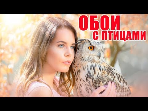 Обои с птицами в интерьере | Wallpaper with birds in the interior