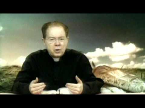 O Pão Nosso 30 Outubro 2016    -     Pe. F. C. Cardoso