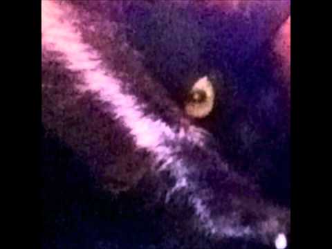 Video thumbnail for See You In Hell