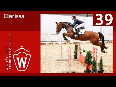 39 Clarissa Stute v. Chike - Arpeggio