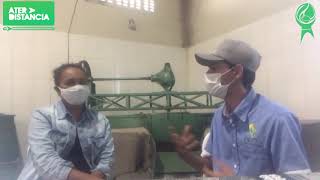 Desenvolvimento de produtos e agregação de valor da mandioca