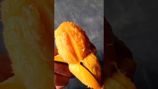 Download lagu Mango #hijab #live #fruit mp3