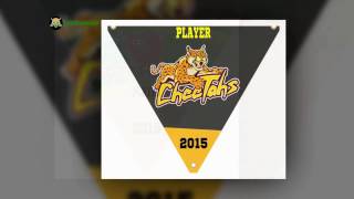 20 Template Softball Banner Design || Triangle Softball Pennants