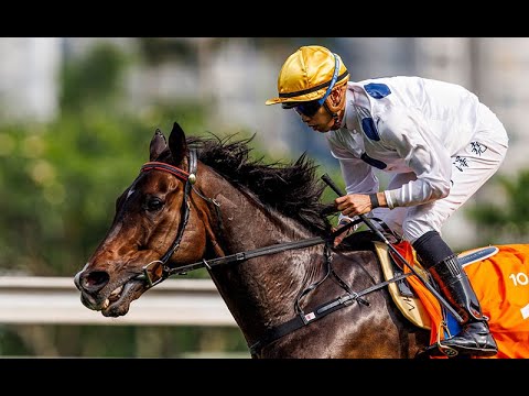 Me Calling The (G1) Longines Hong Kong Mile - Golden Sixty