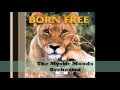 Born Free  - The Mystic Moods Orchestra