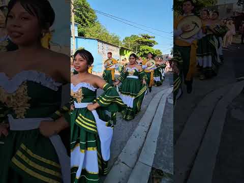 Resumen del Desfile de bandas en san juan talpa #viralvideo