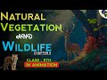Natural Vegetation And Wildlife Class 9 Animation Class 9 Geography Ch 5 Cbse