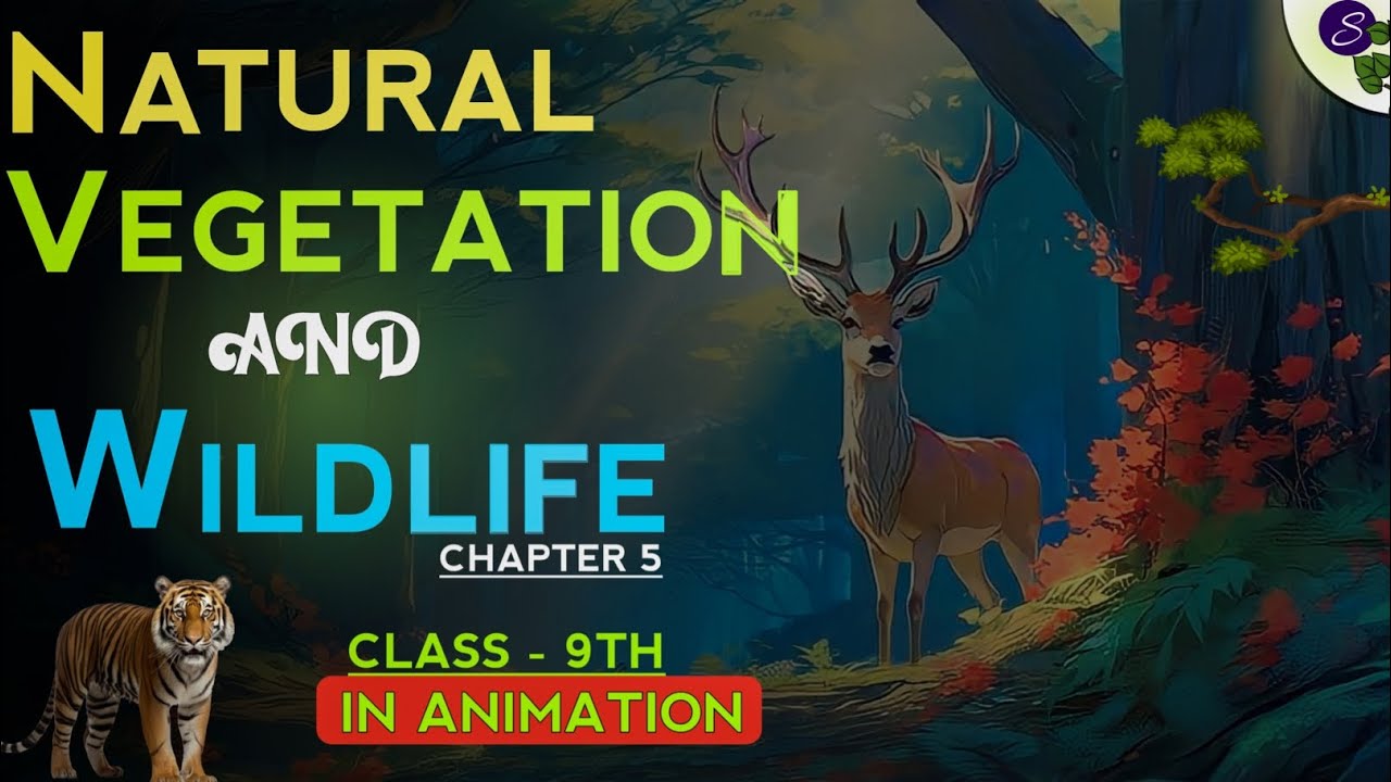 natural vegetation and wildlife class 9 (animation) | class 9 geography ch 5 | cbse