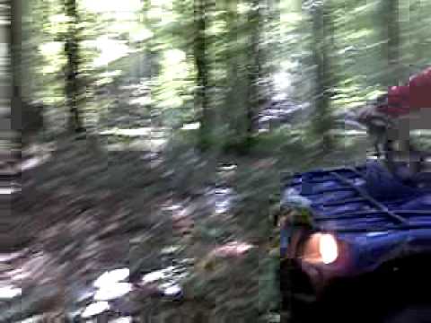 alex si marius paniova