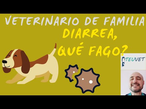 Vídeo: Diarrea! Que fago?