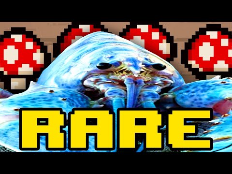 Tainted Lost = INFINITE LUCK