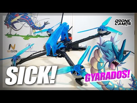 WOW ONLY $30? - Nvision Gyarados 5" Fpv Toothpick Quad - PRO REVIEW & OVERVIEW 🚁
