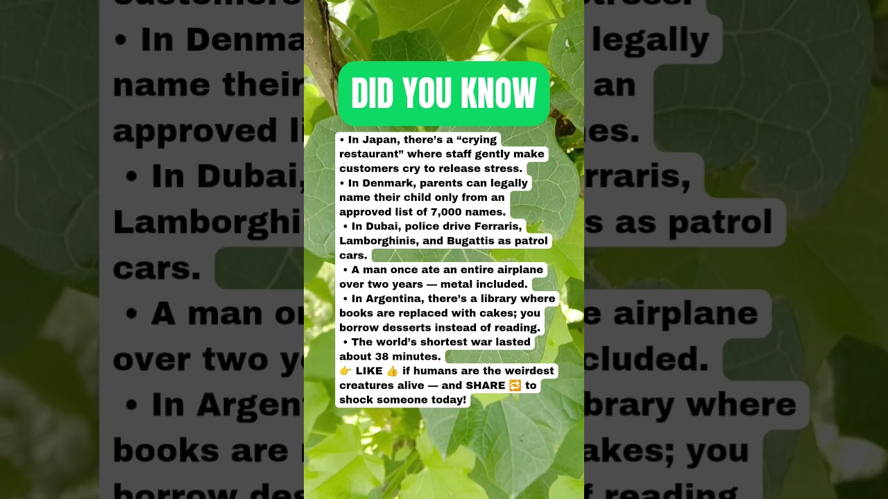 Nature of Human Madness Facts That Feel Unreal 😱🤯