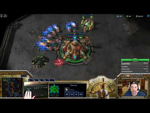 Teaching the cannon rush shield battery stalker build PvZ catalyst
