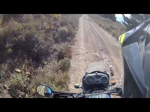 Meeting a big black bear on WABDR, September 2016