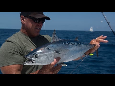 Kaenon: Built for Outsiders - Rob Fordyce South Florida