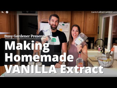 download lagu mp3 mp4 Buy Grade B Vanilla Beans, download lagu Buy Grade B Vanilla Beans gratis, unduh video klip Buy Grade B Vanilla Beans