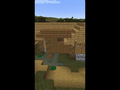 Witch Hut is merged into Villager House | Minecraft Seed