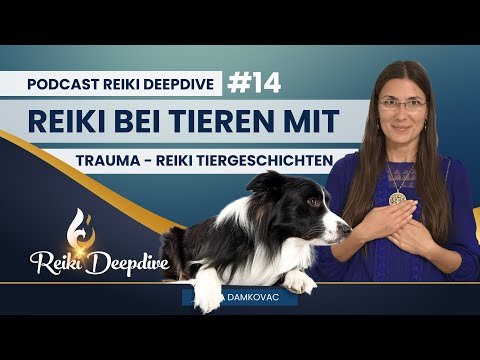 Tiergeschichten - Reiki bei Tieren mit Trauma Nr. 14