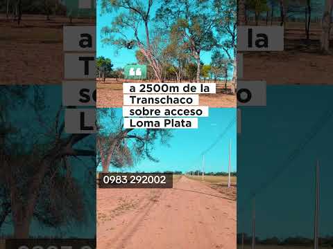 ¿Como tener tu terreno propio en Loma Plata? | Venta de lotes en cuotas |