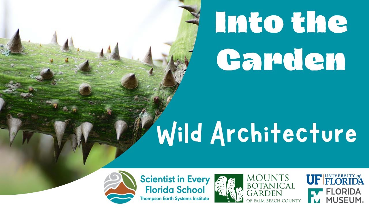 Into the Garden: Wild Architecture