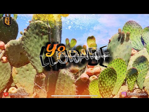 Yo Lloraré (En Vivo) El Grueso y su Banda